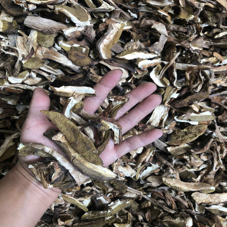 Прямые поставки с фабрики в Юннани, вкусные грибы боleti B класса, оптовая продажа для супа хот-пота