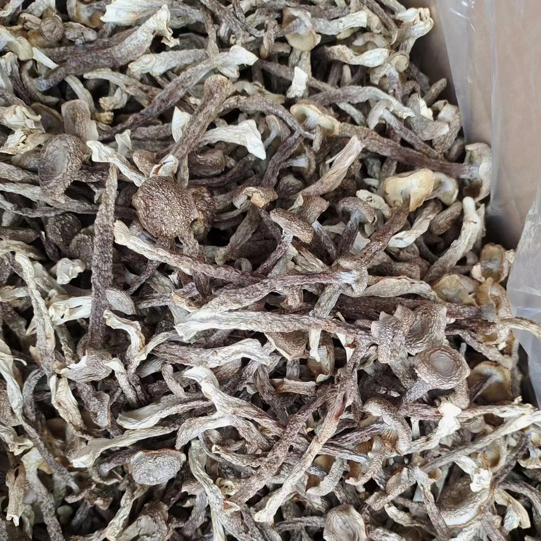 Good dryness characteristic antler mushroom 10 Jin net weight edible fungus dry goods antler mushroom antler mushroom large quantity wholesale