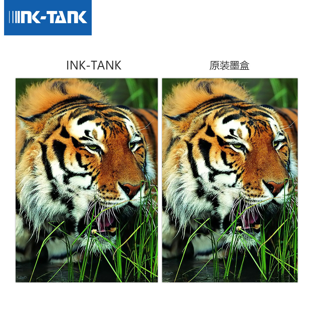 Zhongrun Cross-Border Southeast Asia Compatible Epson Epson Inkjet 1881-4 Printer Ink Cartridge Customization Wholesale