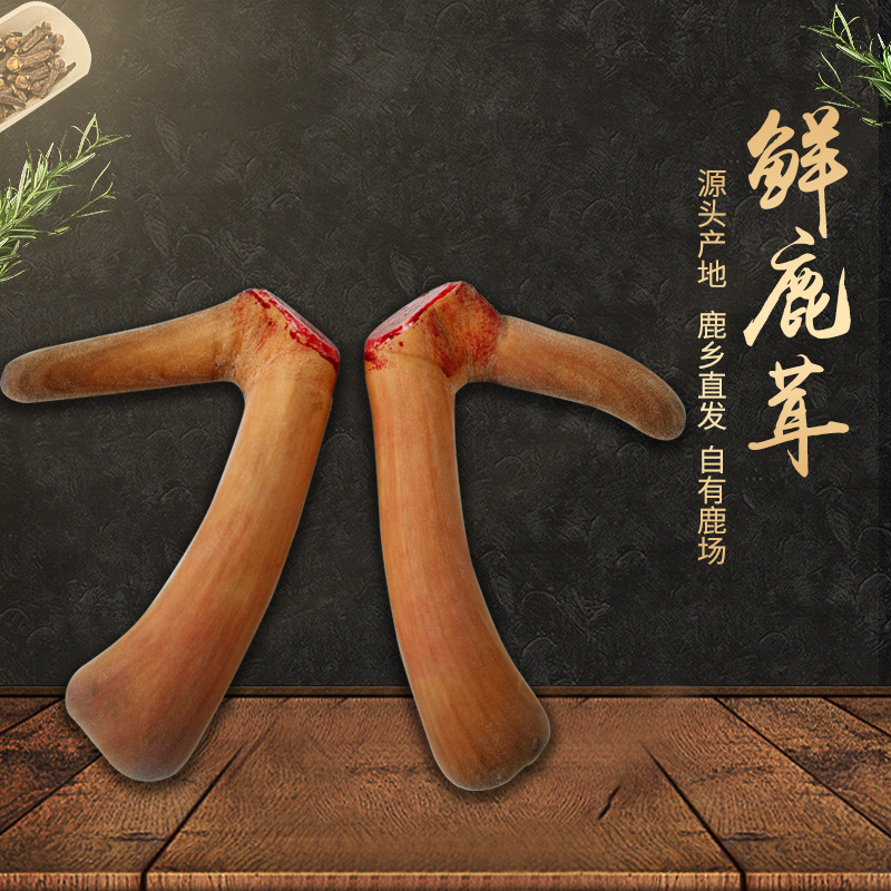 Свежий оленевый рог Jilin, обрезанный, свежий, нарезаемый ножом, ломтики рога, замоченные в вине и супе, лечебные материалы, первый урожай, две полоски