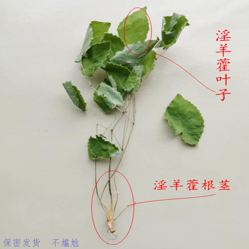 Epimedium Gansu Longnan Wild Small Round Leaf Epimedium Supplement High Content Kidney Three Branches Nine Leaf Grass Strengthening Immortal Spirit Spleen Yang