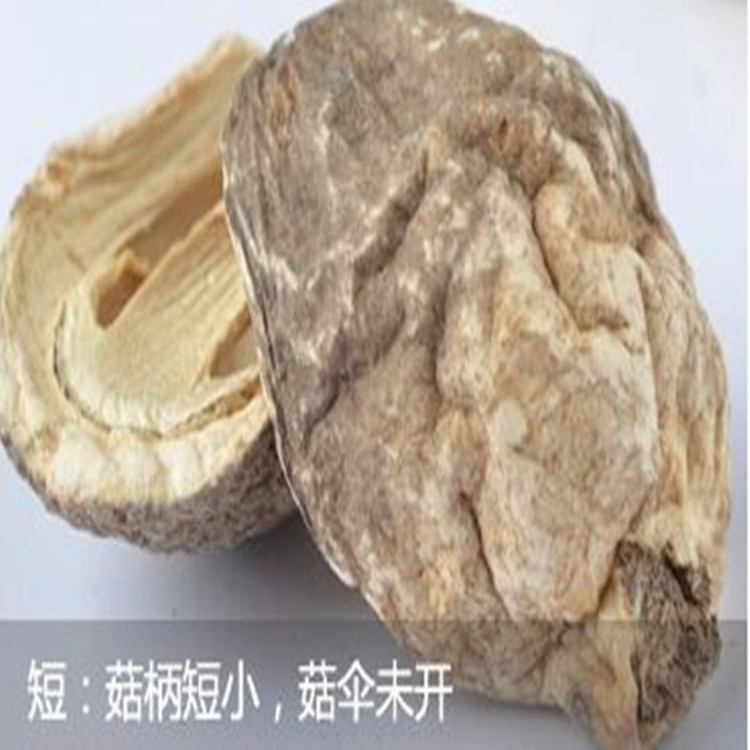 Wholesale Fujian Gutian straw mushroom orchid mushroom dry goods edible fungus capital excellent place of origin wholesale 250 g/piece