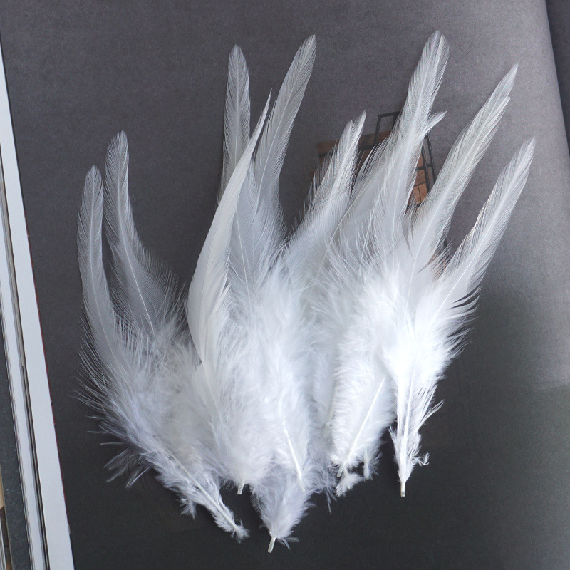 Feather Wholesale Pointed Feathers Colorfulful Chicken Feathers Large White Tip DIY Dream Catcher Handmade Crafts Earrings Clothing Accessories