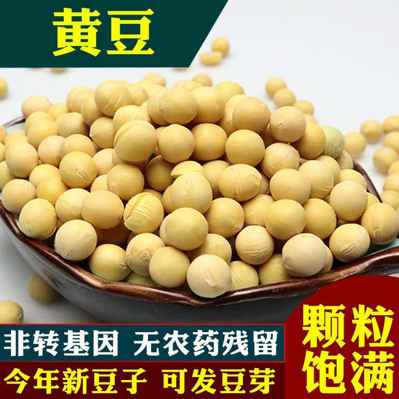 Готовые соевые бобы, сырье для тофу, оптовая продажа с северо-востока