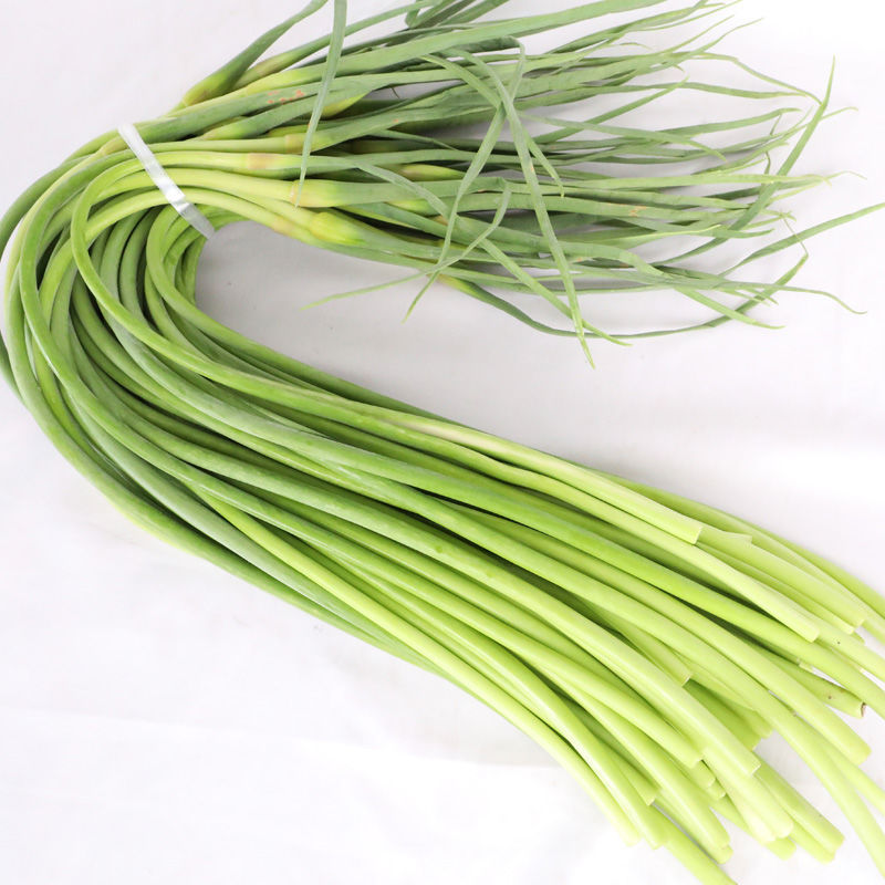 2.5kg Free Shipping, Freshly Picked Garlic Moss, Fresh Garlic Sprouts, Fresh Garlic Moss, Shandong Tender Garlic Moss, Fresh Vegetables Wholesale