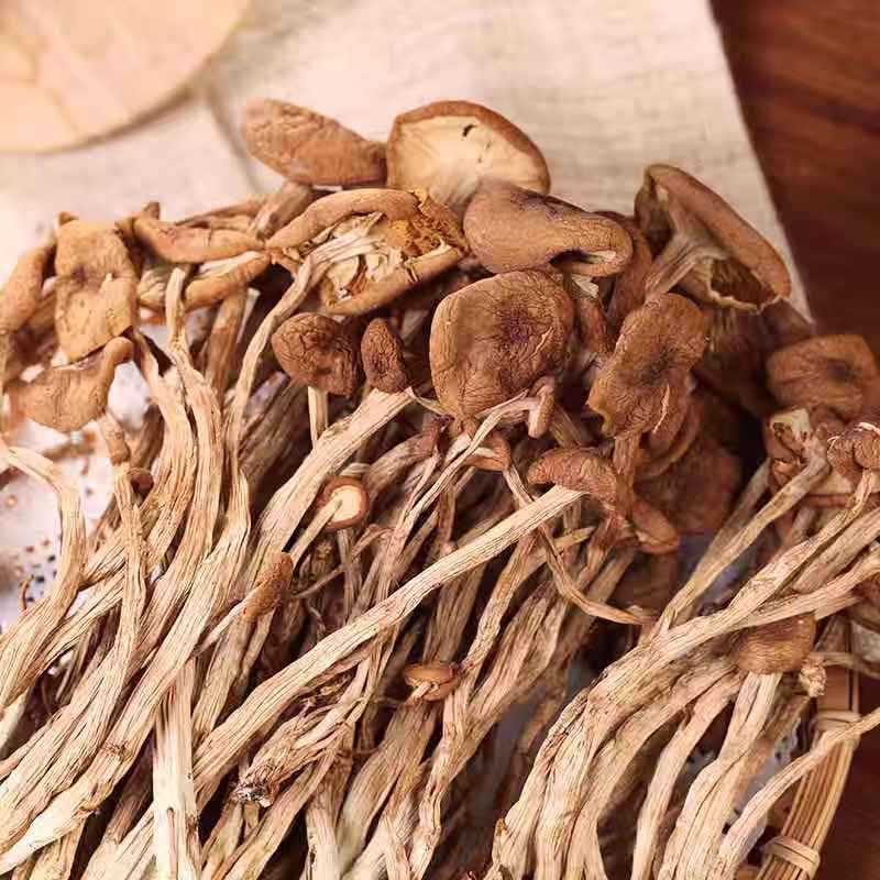 Fujian Gutian tea tree dry goods bulk wholesale agricultural products do not open umbrella tea mushroom factory origin direct hair