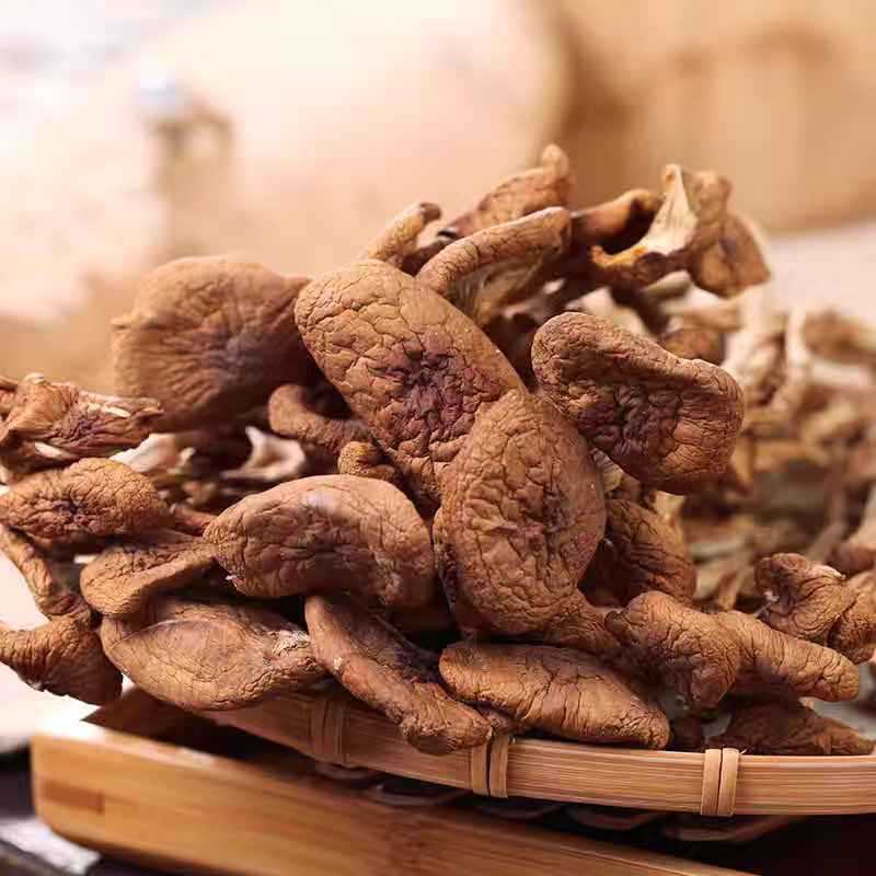 Fujian Gutian tea tree dry goods bulk wholesale agricultural products do not open umbrella tea mushroom factory origin direct hair