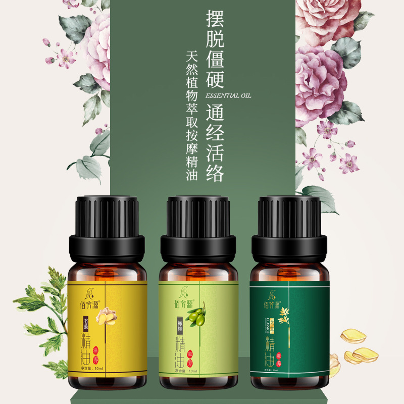 Mugwort Essential Oil Plant Body Spa Massage Gua Sha Beauty Salon Lavender Mugwort Ginger Rose Essential Oil in Stock