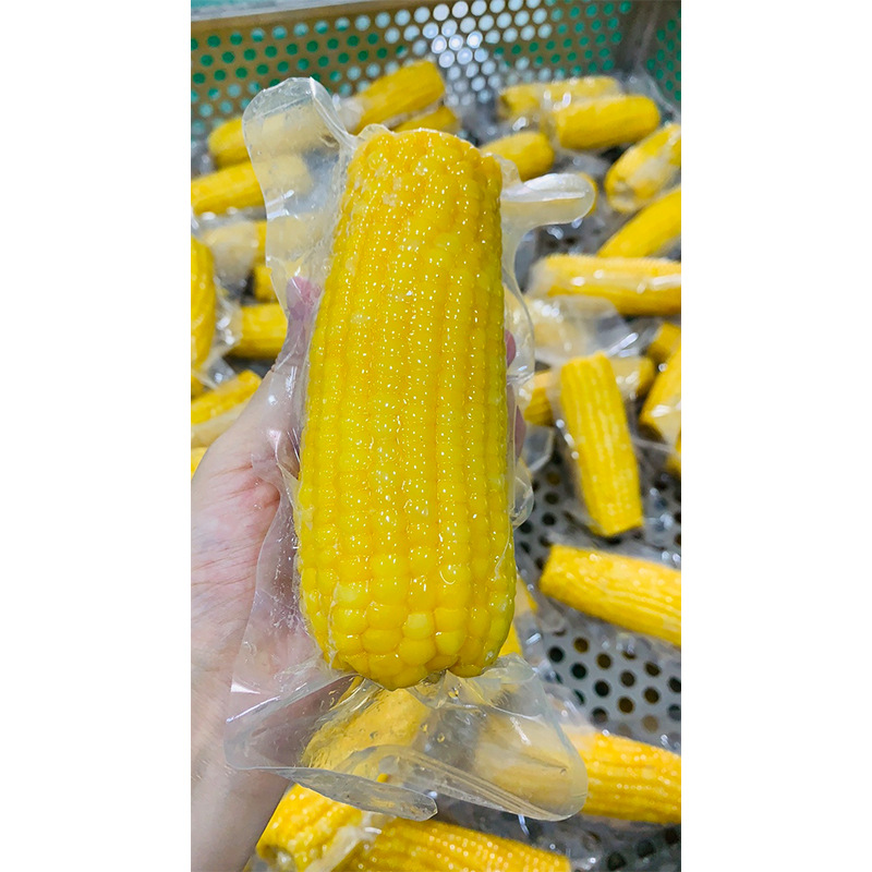 Monkey is Guangxi fruit sweet corn cob fresh sweet soft origin direct supply fresh corn bag ready-to-eat vacuum coarse grains