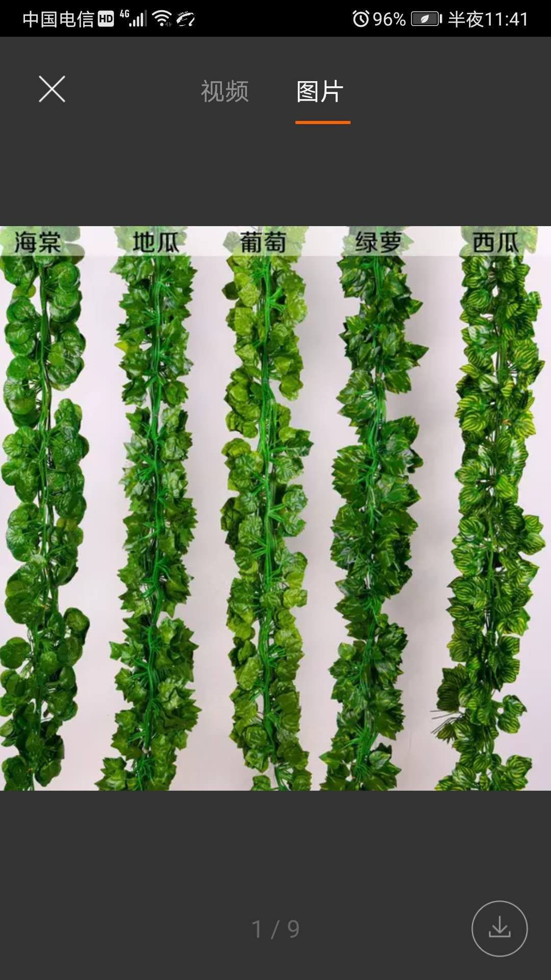 Factory Direct sales creeper leaf Vine