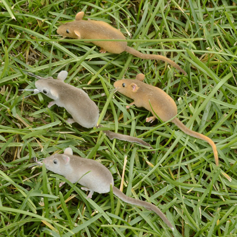 High simulation insect mouse mouse mouse micro landscape decoration teaching model refrigerator sticker factory outlet