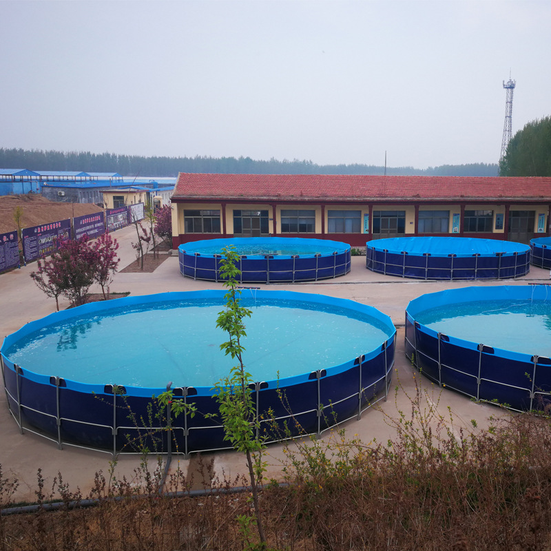 Bracket Pool mobile pool bracket pool specifications complete pvc canvas fish pool folding Transportation