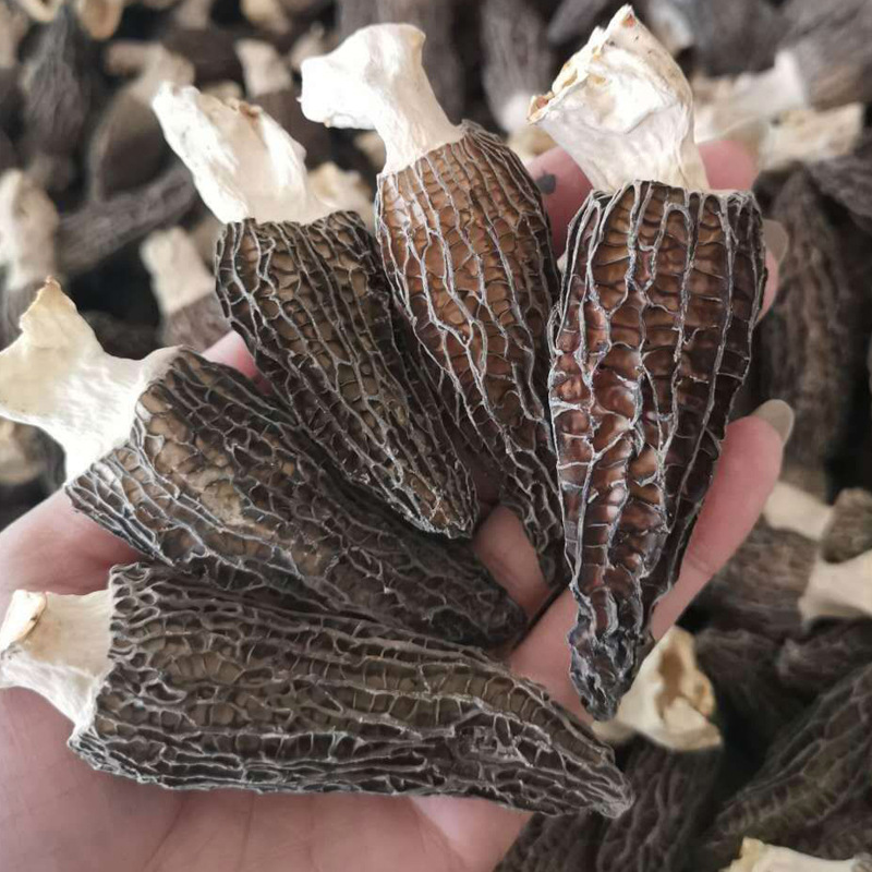 Dried morchella Yunnan specialty non-wild traditional tonic large cut foot Morchella wholesale 500g