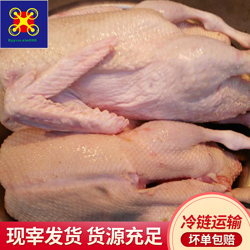 Прямые продажи с завода Хаоя сырые целые оптовые 20кг 50кг 50кг Байянью