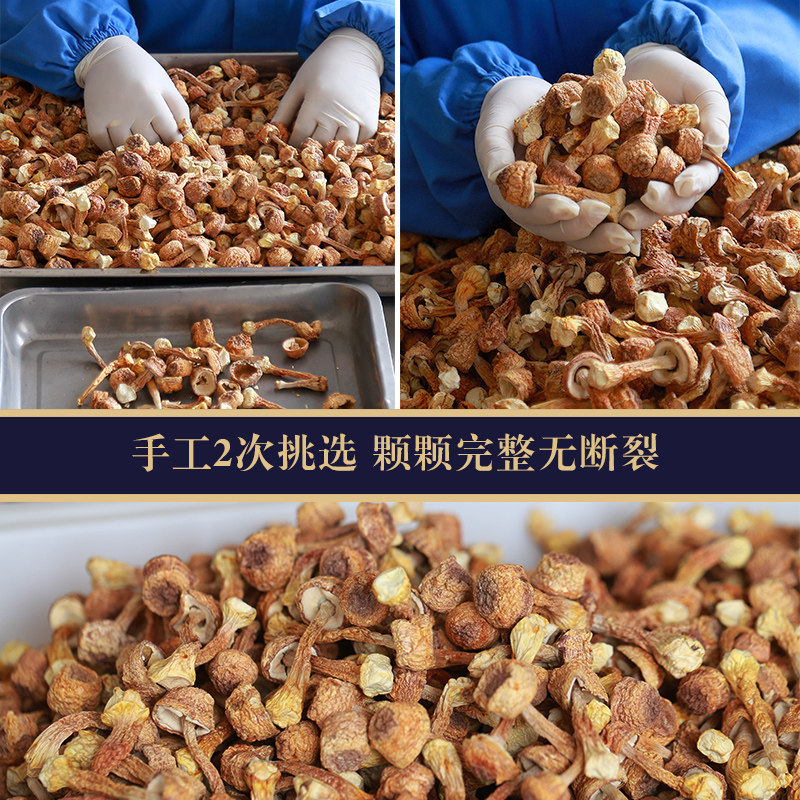 Wholesale Processing of 250g of Agaricus Blazei Mushroom, Dried Brazilian Mushrooms, Wholesale New Stock Source