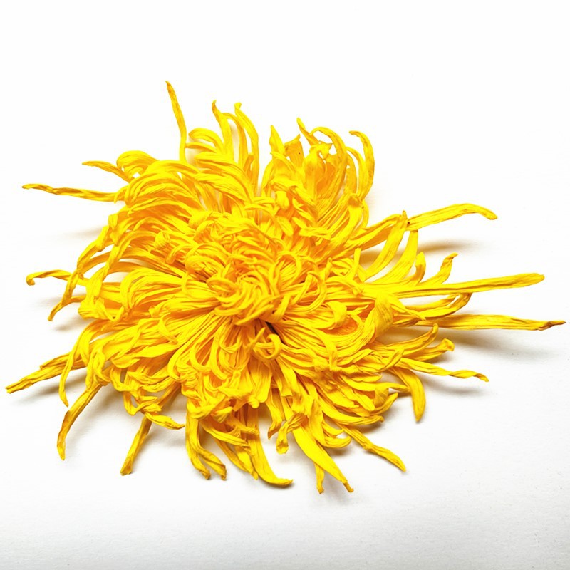 Golden chrysanthemum independent big flower a cup of yellow chrysanthemum tea tribute chrysanthemum tea 10-14cm teahouse hotel tea