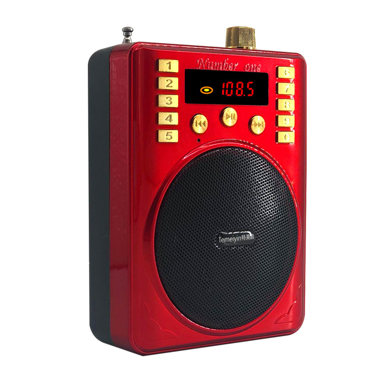 Temei Yin 305ABT Bee Loudspeaker Multifunctional Teacher Loudspeaker Shouting Tour Guide Card Singing