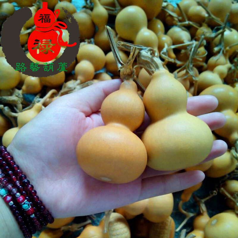 Прямые поставки натуральная тыква американская ручная скрученная тыква маленькие тыквенные изделия оптовая продажа