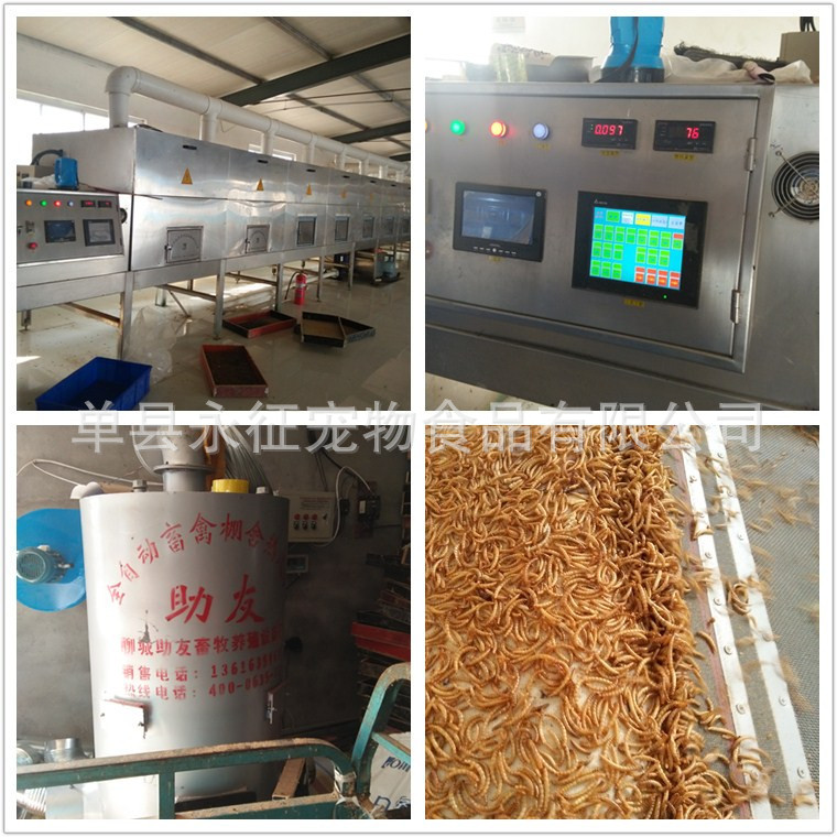 Yongzheng Factory Direct Sales Vacuum Freeze-Dried Rice Grasshopper, Grasshopper, Dried Arowana Ornamental Fish Feed, Bird and Turtle Food, Special Insects