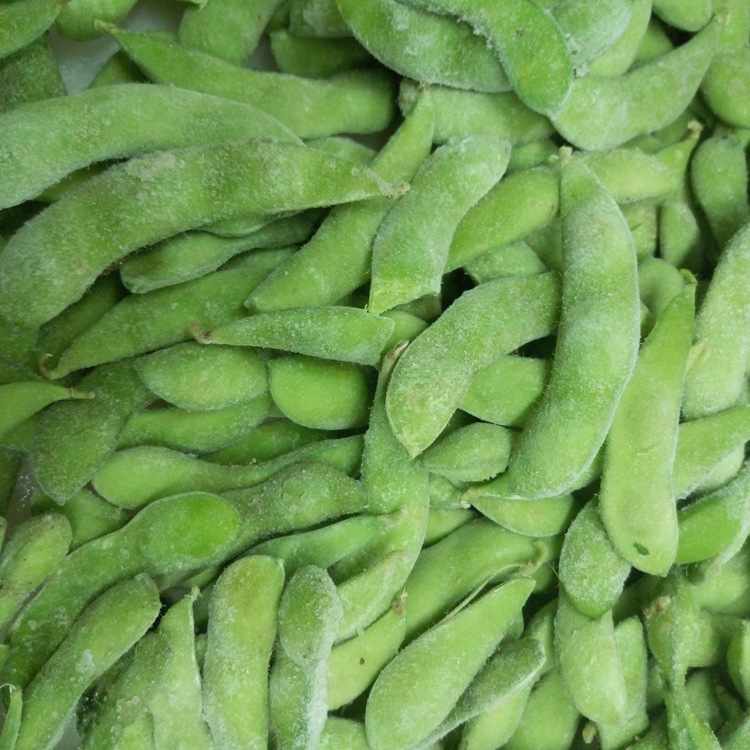 Quick-Frozen Edamame Frozen Vegetable Manufacturer Directly Supplies Long-Term Supplies Pre-Meal Snacks Cold Edamame