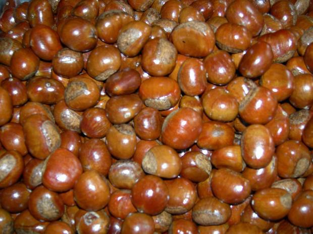 Authentic Qianxi Chestnuts 3113 Standard Chestnuts Qinglong Kuancheng 313 Sweet Chestnut Seeds Sincerely Seeking Sugar-Fried Chestnut Partners Sweet and Delicious