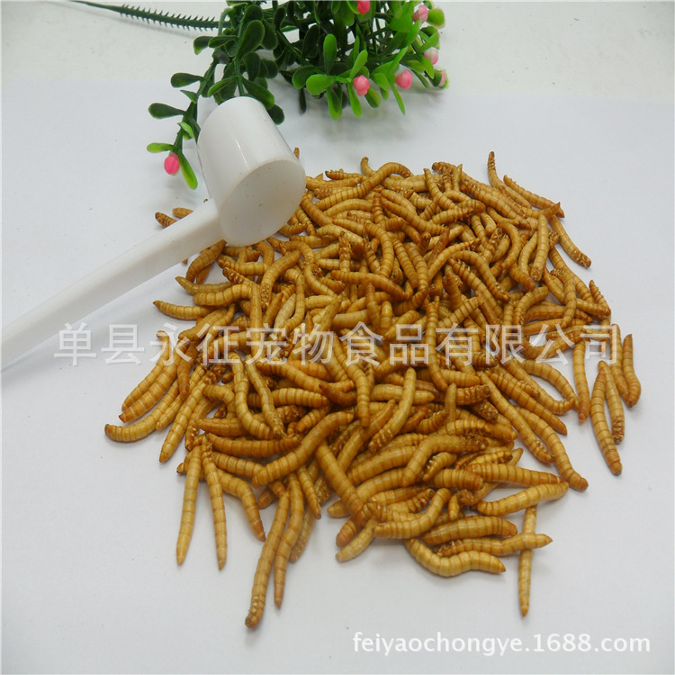 Yongzheng Manufacturer Freeze-Dried Mealworms Dried Yellow Mealworms Hamster Pregnancy Snacks Arowana Ornamental Fish Feed High Protein