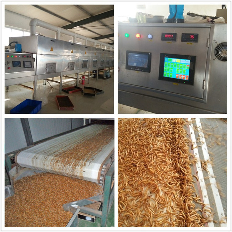 Yongzheng Manufacturer Freeze-Dried Mealworms Dried Yellow Mealworms Hamster Pregnancy Snacks Arowana Ornamental Fish Feed High Protein