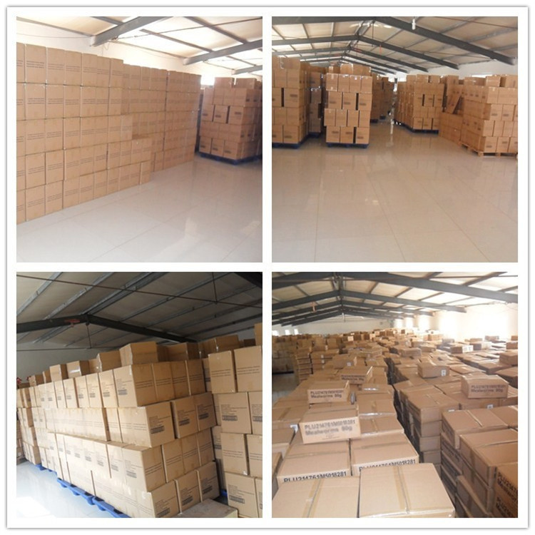 Yongzheng Manufacturer Freeze-Dried Mealworms Dried Yellow Mealworms Hamster Pregnancy Snacks Arowana Ornamental Fish Feed High Protein