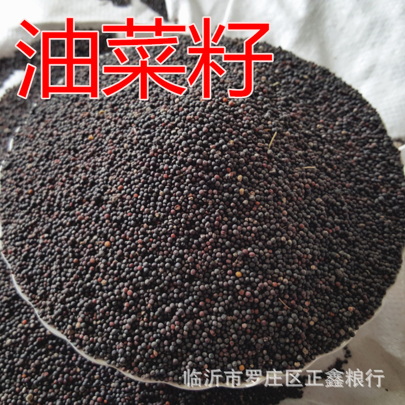 Оптовая поставка масла рапса, экстракция, мешки с кормом 50кг