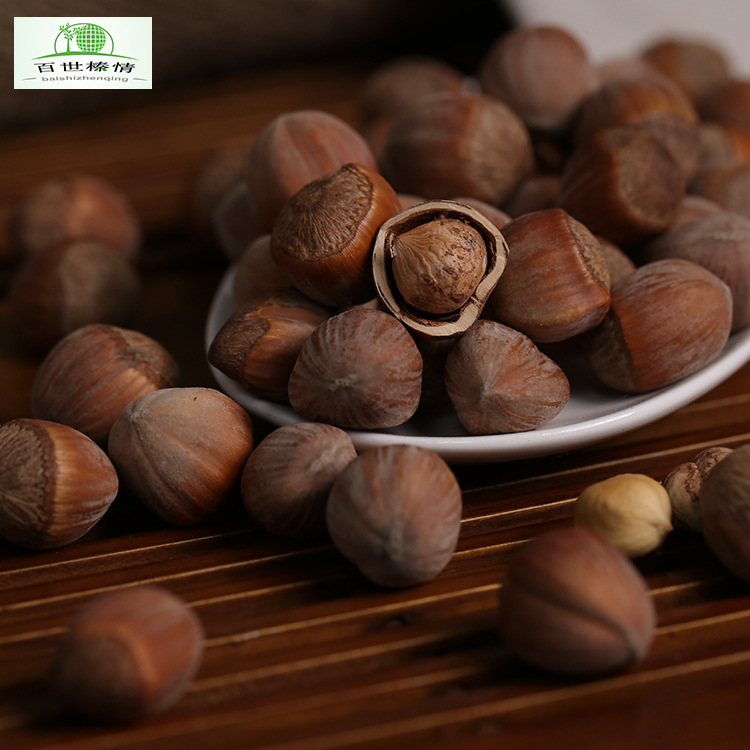 Best Hazelnut Love Northeast Specialty Wholesale 10 Lbs 2025 New Stock Original Flavor Roasted Nuts Open-Shell European Large Hazelnuts