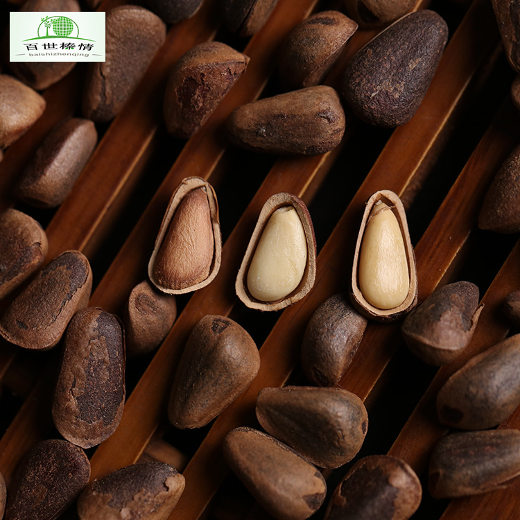 Best Hazel Love Large Kernels Northeast Red Pine Nuts Hand-Peeled New Crop Nuts Wholesale Original Flavor Wild Pine Nuts