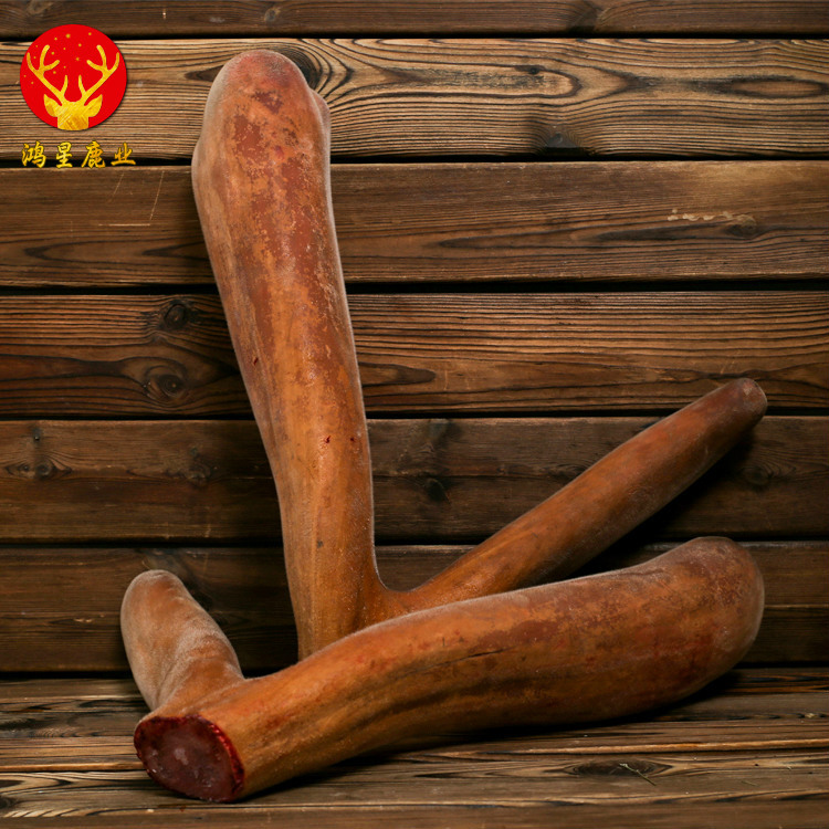 Free Shipping on Whole Fresh Deer Antlers from the Origin Area, Direct Supply of First-Grade Two-Pronged Fresh Deer Antlers, Fresh Deer Antlers from the Origin Area