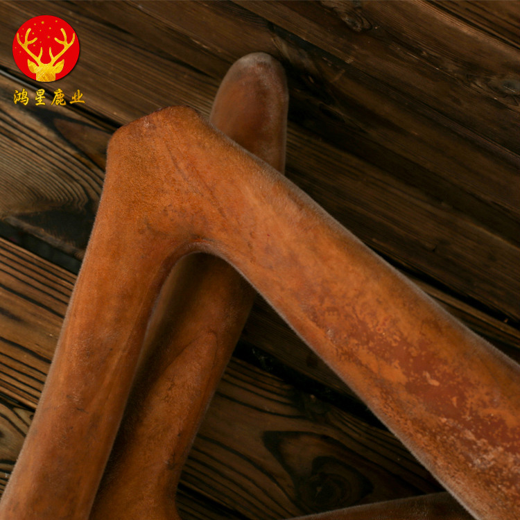 Free Shipping on Whole Fresh Deer Antlers from the Origin Area, Direct Supply of First-Grade Two-Pronged Fresh Deer Antlers, Fresh Deer Antlers from the Origin Area