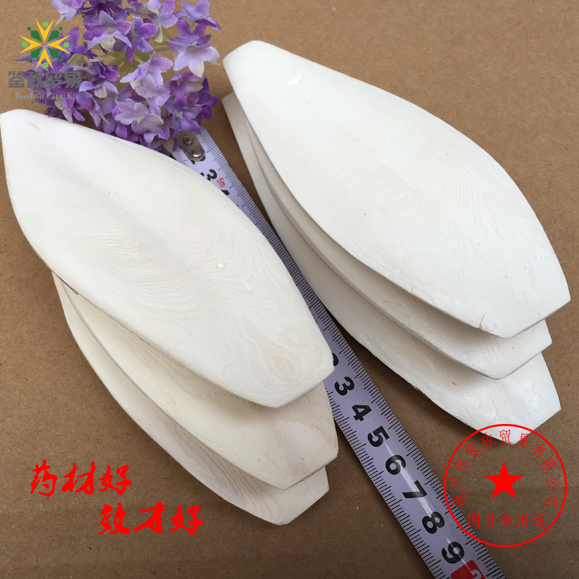 Wholesale Cuttlefish Bone Polishing and Trimming Jellyfish Pet Teeth Grinding New Goods Squid Bone Agricultural Products Jellyfish B