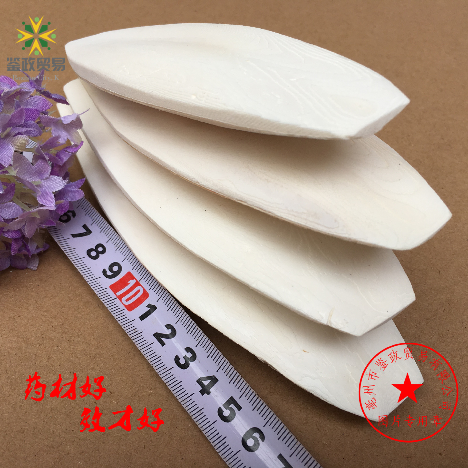 Wholesale Cuttlefish Bone Polishing and Trimming Jellyfish Pet Teeth Grinding New Goods Squid Bone Agricultural Products Jellyfish B