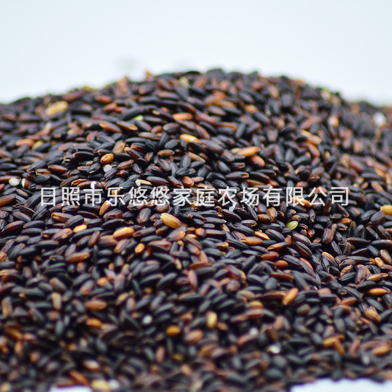 Оптовая продажа черного клейкого риса, десертный молочный чай, кровяной клейкий рис 500г Упаковка 2.5кг Бесплатная доставка Высокое качество