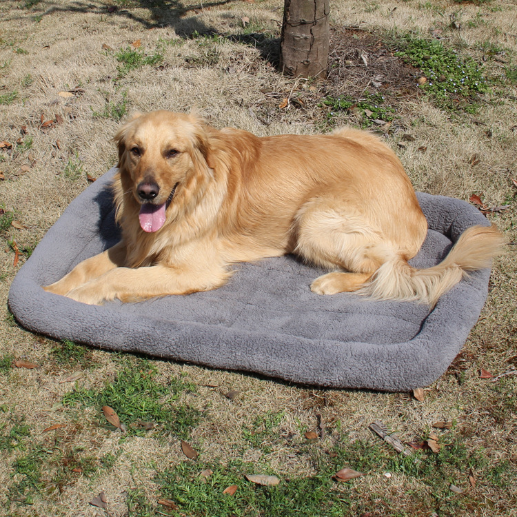 Cat Walking Mat, Pet Nest Car, Anti-Scratch Sofa Cushion, Large, Medium and Small Size, Comfortable Velvet Golden Retriever Spring & Fall Square Nest