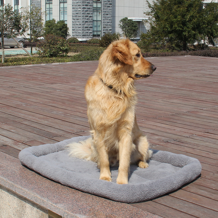 Cat Walking Mat, Pet Nest Car, Anti-Scratch Sofa Cushion, Large, Medium and Small Size, Comfortable Velvet Golden Retriever Spring & Fall Square Nest