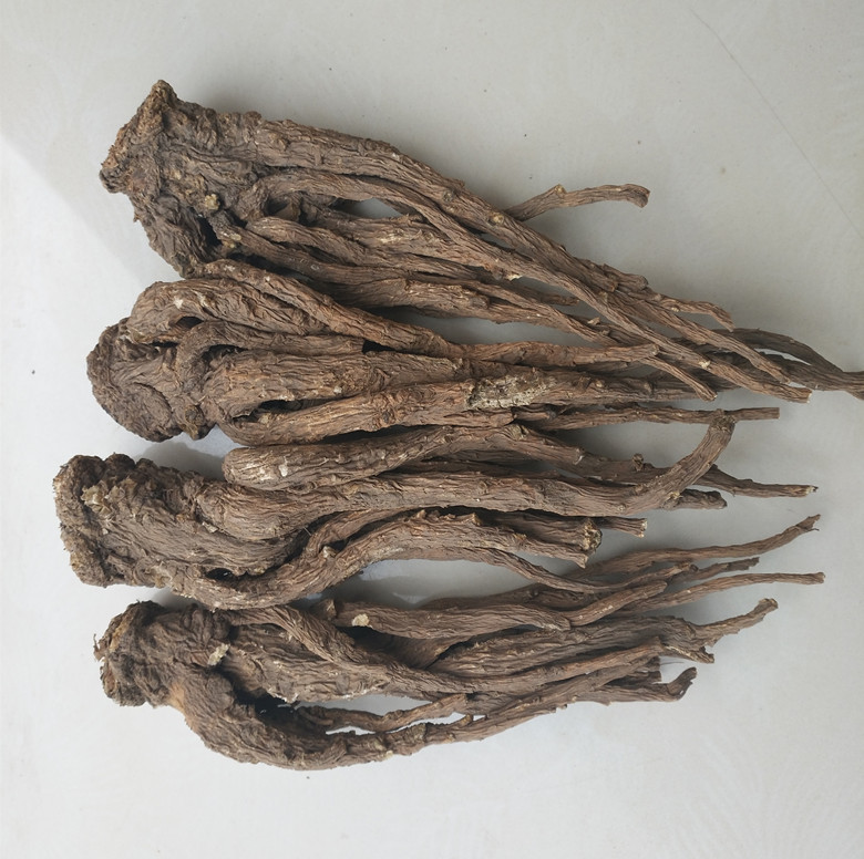 8-10 Pieces 0.5kg Angelica Sinensis Wholesale Free Shipping Gansu Minxian Large Angelica Chinese Medicinal Materials Non-Sulfur Smoked Angelica Strips