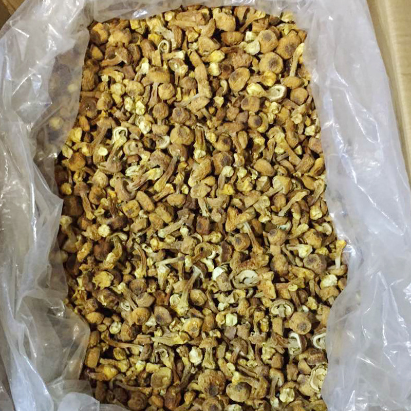 Huniu Agaricus Blazei Mushroom Dry Goods Yunnan Mushroom Yunnan Specialty Agaricus Blazei Mushroom Brazilian Mushroom 500g