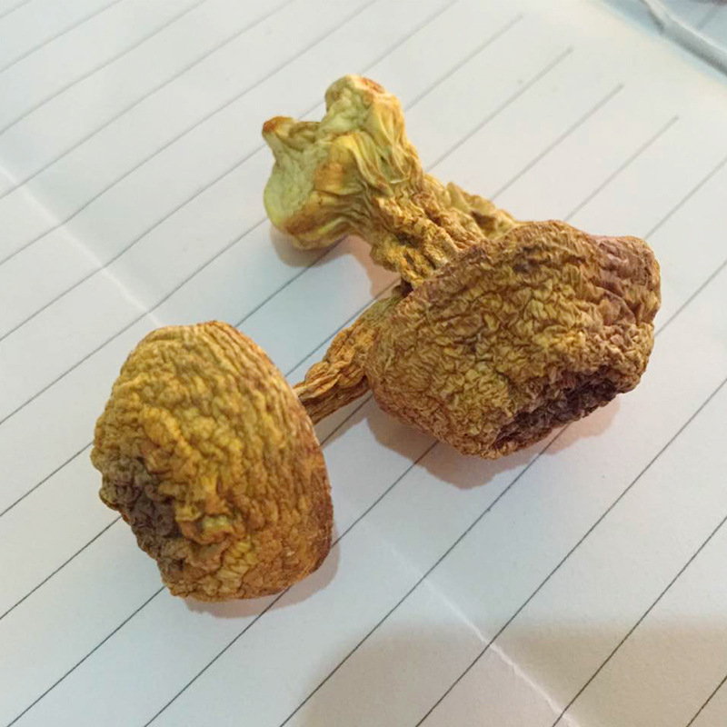 Huniu Agaricus Blazei Mushroom Dry Goods Yunnan Mushroom Yunnan Specialty Agaricus Blazei Mushroom Brazilian Mushroom 500g