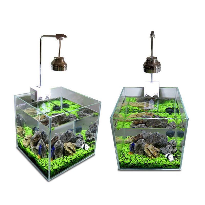 Fish Tank Decoration Aquatic Plant Seed Package Foreground Mini Small Leaf Plant Aquarium Living Landscaping Real Aquatic Plants