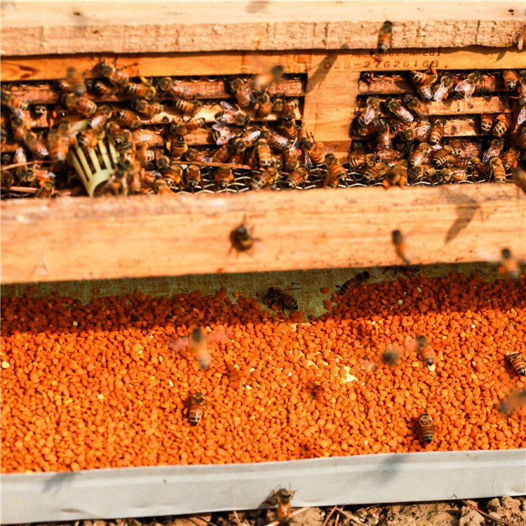 Xinbee garden tea pollen tea powder edible bee pollen 500g a bottle wholesale