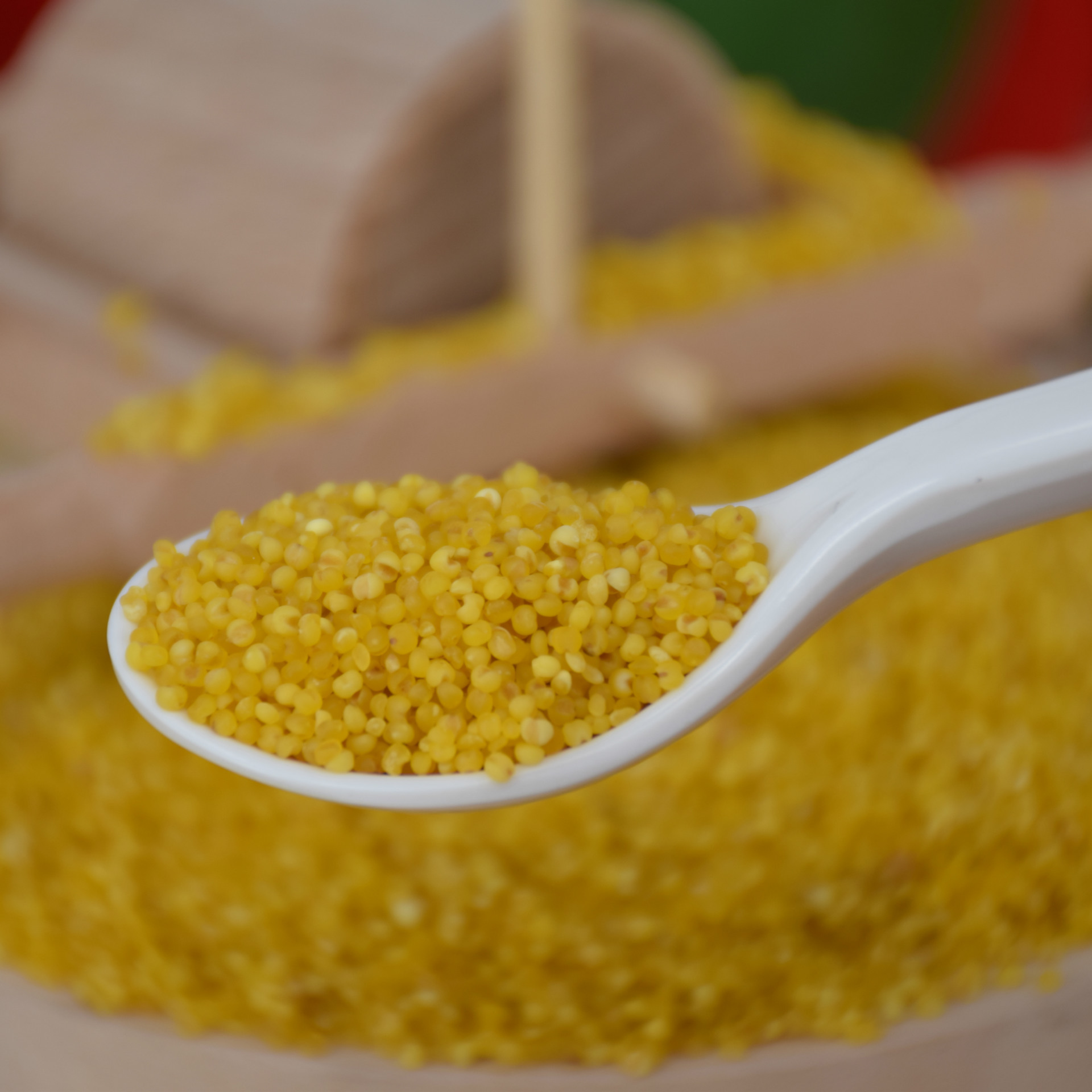 Wholesale Price Can Be Negotiated Shaanxi Rice Fat Yellow Millet Confinement Multigrain Oil Millet Grains Bulk Farm Rice