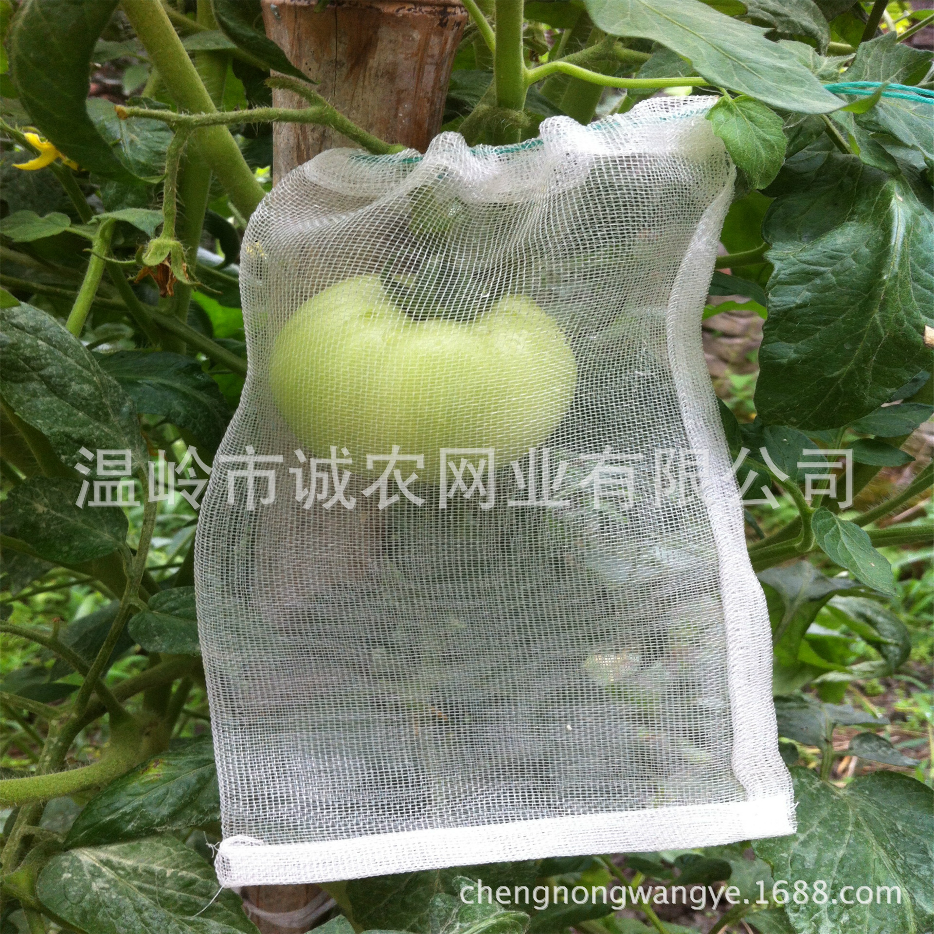 Rice Breeding Bag, Soaked Mesh Bag, Insect-Proof Mesh Bag, Fruit-Proof, Fruit-Proof, Insect-Proof, Thickened Bagging Wholesale