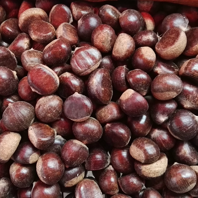 Оптовая продажа свежих каштанов для жарки/сладкие каштаны Юннани/сырые семена масляного каштана из Гуанси и Гуйчжоу, крупные каштаны свежесобранные и жареные