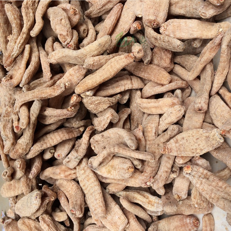 Tianma wholesale Yunnan specialty Zhaotong small grass dam Tianma Lijiang Tianma fresh cut tianma slices grinding Tianma powder