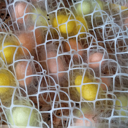 Student Silkworm Rearing Set, Silkworm Cocoon Net, Silkworm Net, Plastic Silkworm Net, Silkworm Net, 20*30cm