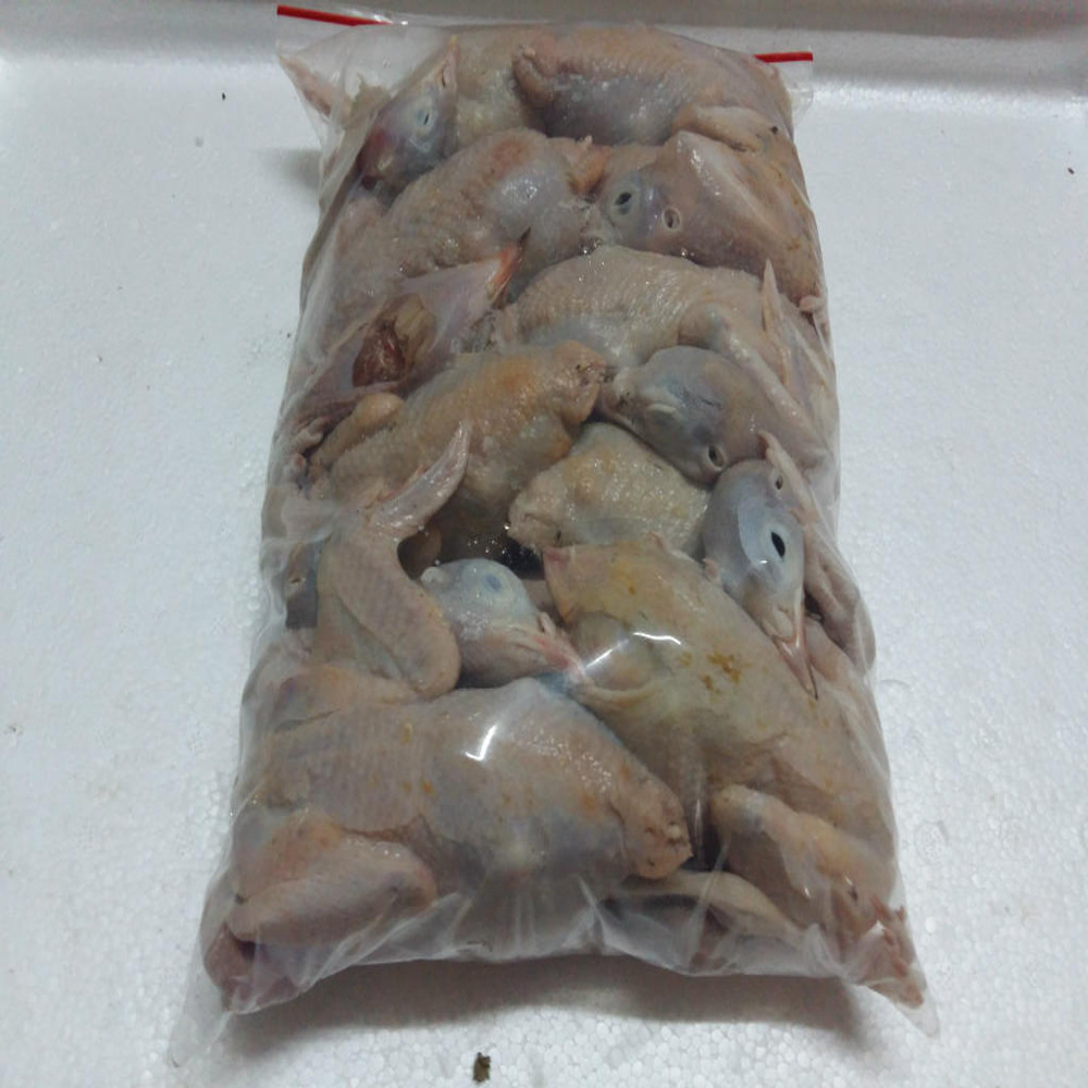 Fresh Poultry Quail 90 Days Gutted 200-300g Ready to Kill and Ship Cold Chain Frozen Meat Fresh Meat