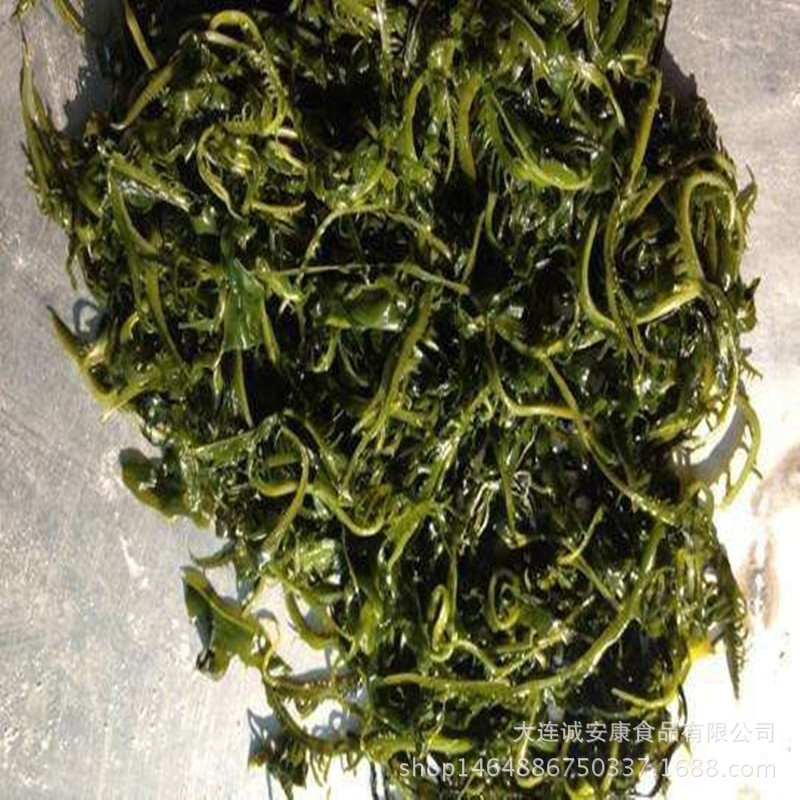 Sprouts Salted Wakame Sprouts Eyelashes Sprouts Salted Eyebrow Sprouts